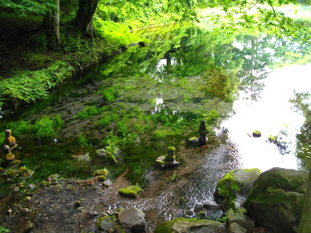 静かな森の中の池