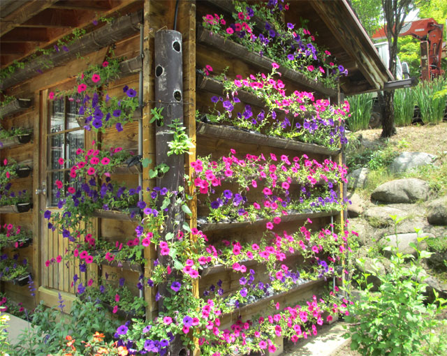 花の小屋